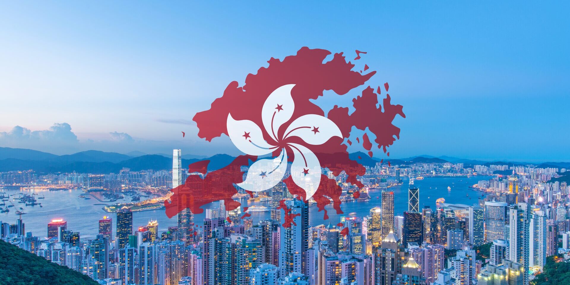 通过视觉搜索找到的图片
